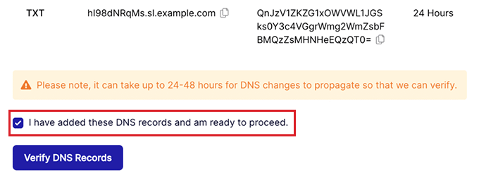 单击“验证 DNS 记录”按钮