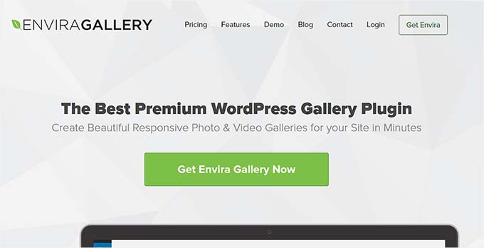 Envira Gallery 网站